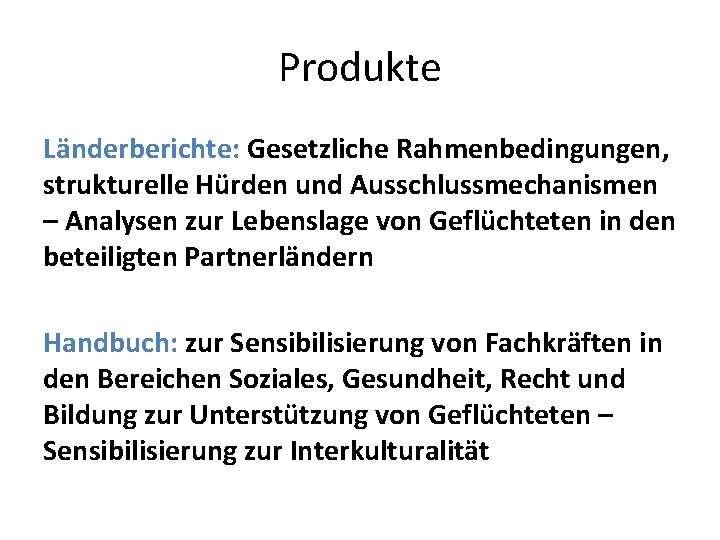 Produkte Länderberichte: Gesetzliche Rahmenbedingungen, strukturelle Hürden und Ausschlussmechanismen – Analysen zur Lebenslage von Geflüchteten