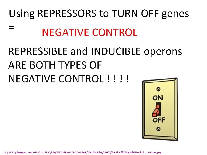 Using REPRESSORS to TURN OFF genes = NEGATIVE CONTROL REPRESSIBLE and INDUCIBLE operons ARE