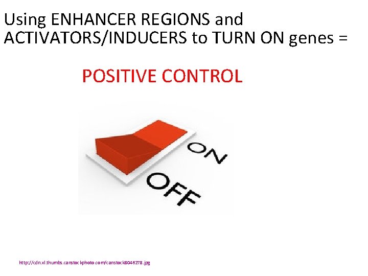 Using ENHANCER REGIONS and ACTIVATORS/INDUCERS to TURN ON genes = POSITIVE CONTROL http: //cdn.