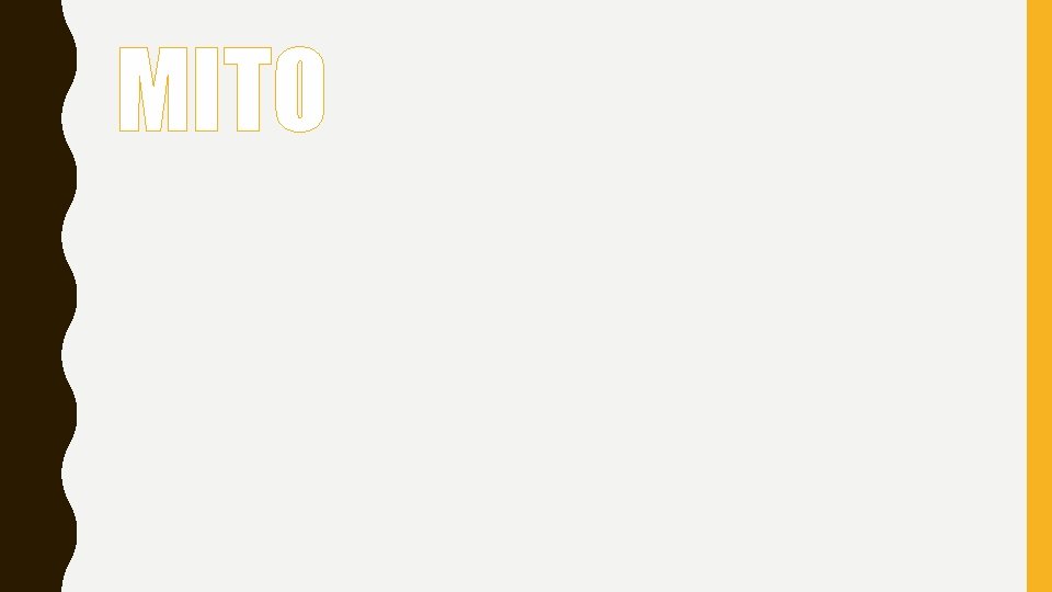 MITO 