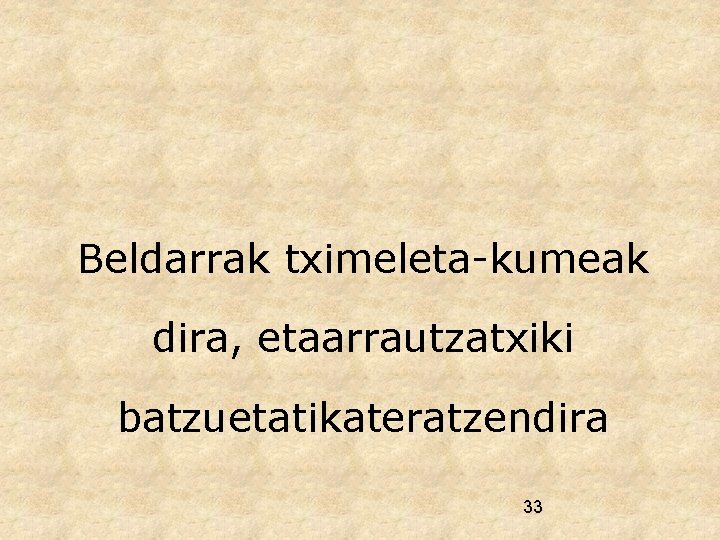 Beldarrak tximeleta-kumeak dira, etaarrautzatxiki batzuetatikateratzendira 33 