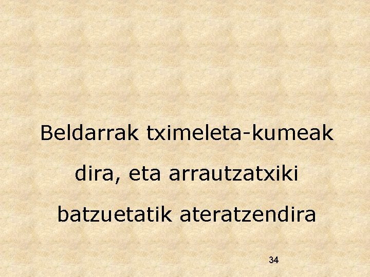 Beldarrak tximeleta-kumeak dira, eta arrautzatxiki batzuetatik ateratzendira 34 