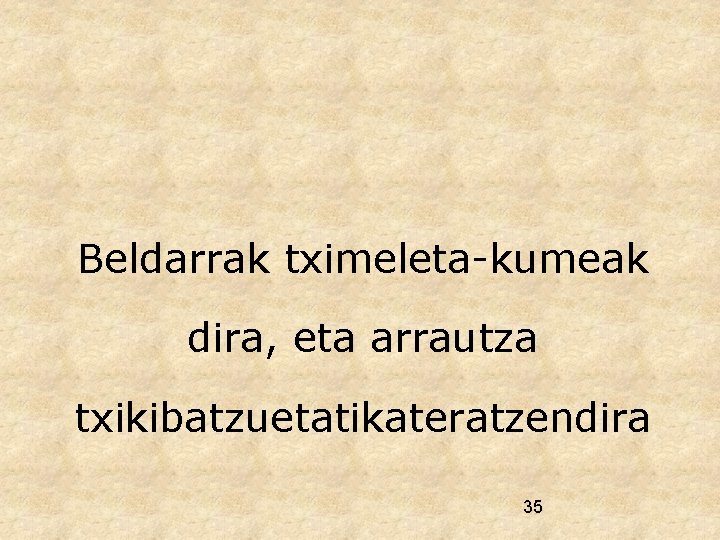 Beldarrak tximeleta-kumeak dira, eta arrautza txikibatzuetatikateratzendira 35 