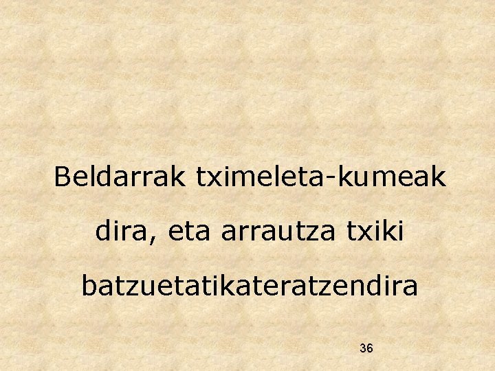 Beldarrak tximeleta-kumeak dira, eta arrautza txiki batzuetatikateratzendira 36 