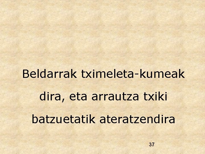 Beldarrak tximeleta-kumeak dira, eta arrautza txiki batzuetatik ateratzendira 37 