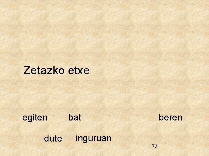 Zetazko etxe egiten dute bat beren inguruan 73 