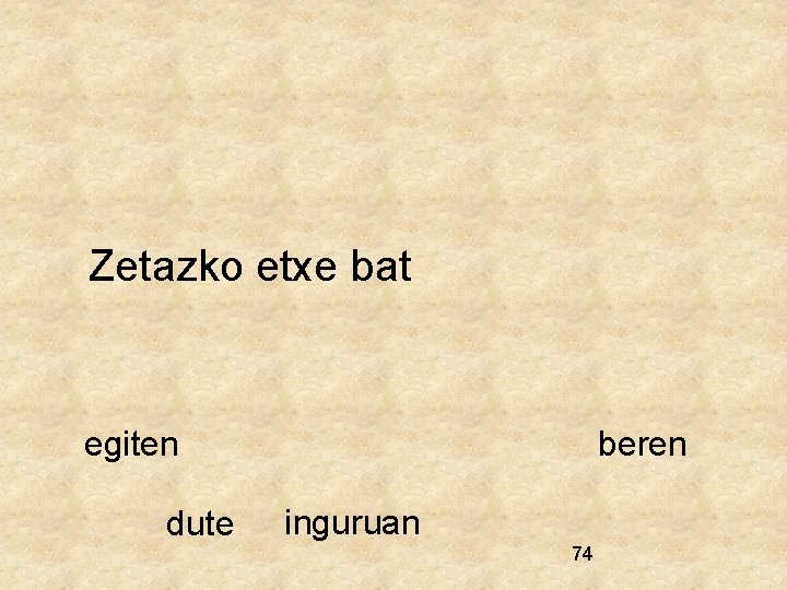 Zetazko etxe bat egiten dute beren inguruan 74 