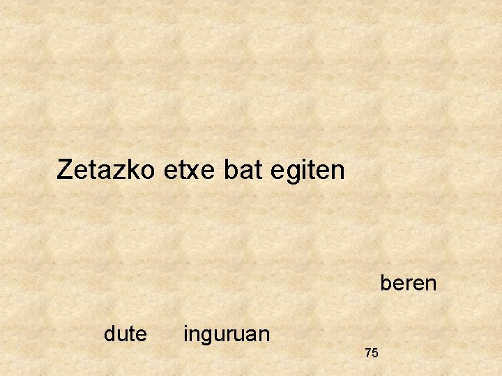 Zetazko etxe bat egiten beren dute inguruan 75 