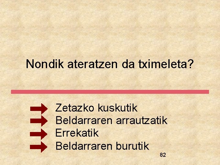 Nondik ateratzen da tximeleta? Zetazko kuskutik Beldarraren arrautzatik Errekatik Beldarraren burutik 82 