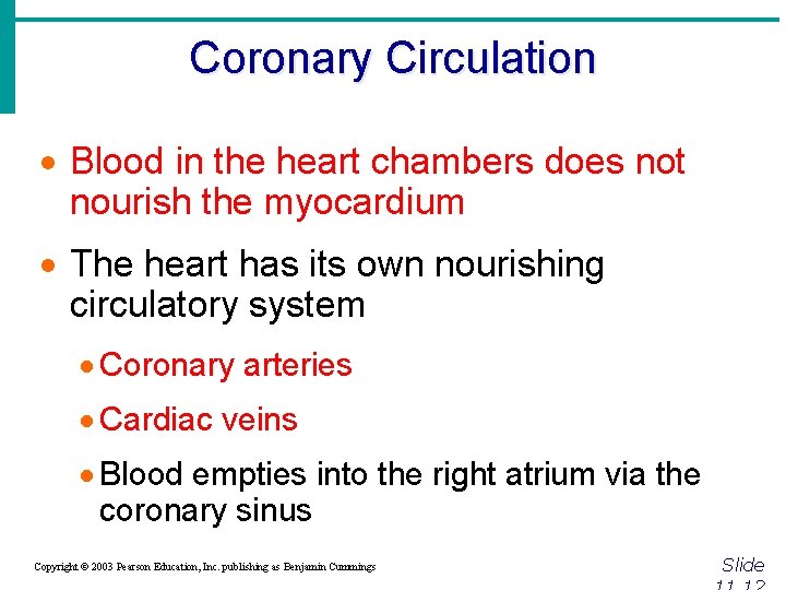 Coronary Circulation · Blood in the heart chambers does not nourish the myocardium ·