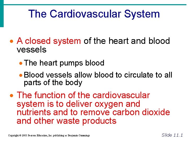 The Cardiovascular System · A closed system of the heart and blood vessels ·
