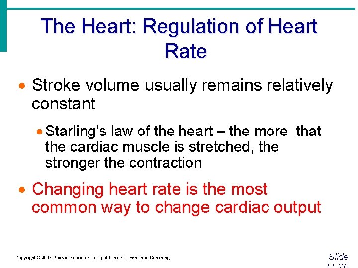 The Heart: Regulation of Heart Rate · Stroke volume usually remains relatively constant ·