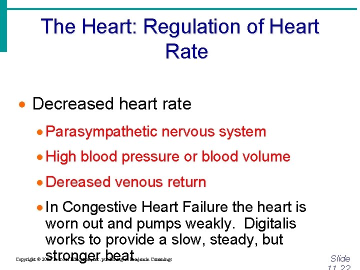 The Heart: Regulation of Heart Rate · Decreased heart rate · Parasympathetic nervous system