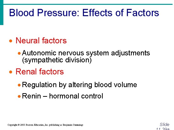 Blood Pressure: Effects of Factors · Neural factors · Autonomic nervous system adjustments (sympathetic