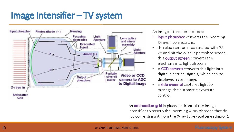 Image Intensifier – TV system An image intensifier includes: • input phosphor converts the Image Intensifier – TV system An image intensifier includes: • input phosphor converts the