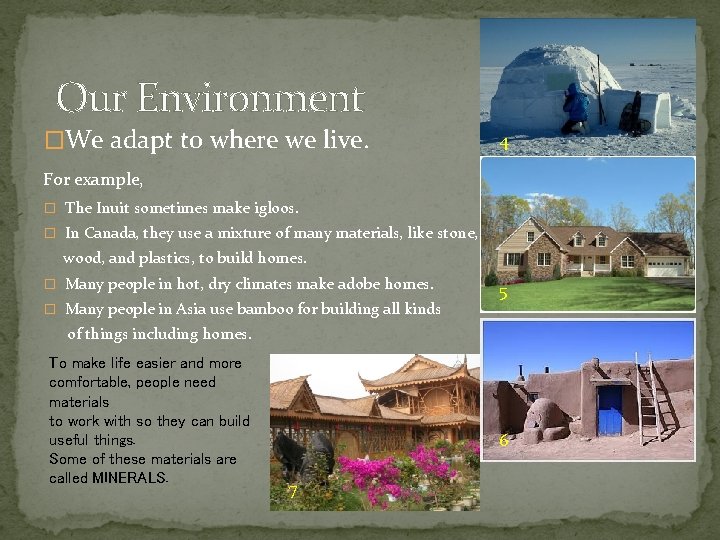 Our Environment �We adapt to where we live. 4 For example, � The Inuit