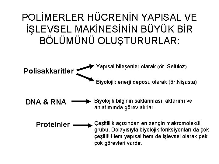 POLİMERLER HÜCRENİN YAPISAL VE İŞLEVSEL MAKİNESİNİN BÜYÜK BİR BÖLÜMÜNÜ OLUŞTURURLAR: Polisakkaritler Yapısal bileşenler olarak