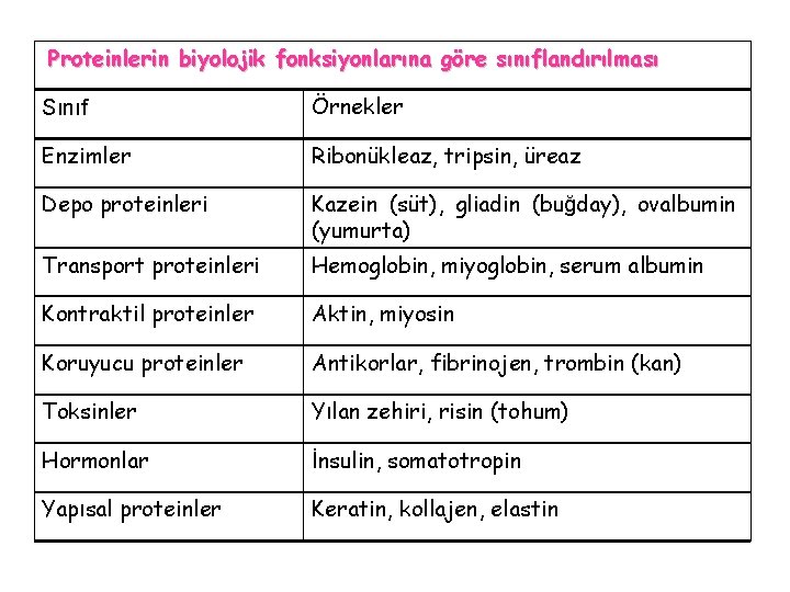 Proteinlerin biyolojik fonksiyonlarına göre sınıflandırılması Sınıf Örnekler Enzimler Ribonükleaz, tripsin, üreaz Depo proteinleri Kazein