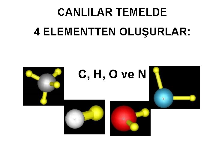 CANLILAR TEMELDE 4 ELEMENTTEN OLUŞURLAR: C, H, O ve N C 