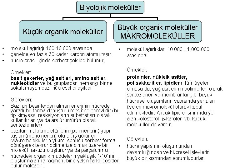 Biyolojik moleküller Küçük organik moleküller • • • molekül ağırlığı 100 -10 000 arasında,