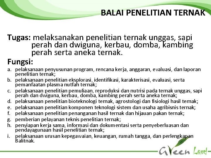 BALAI PENELITIAN TERNAK Tugas: melaksanakan penelitian ternak unggas, sapi perah dan dwiguna, kerbau, domba,