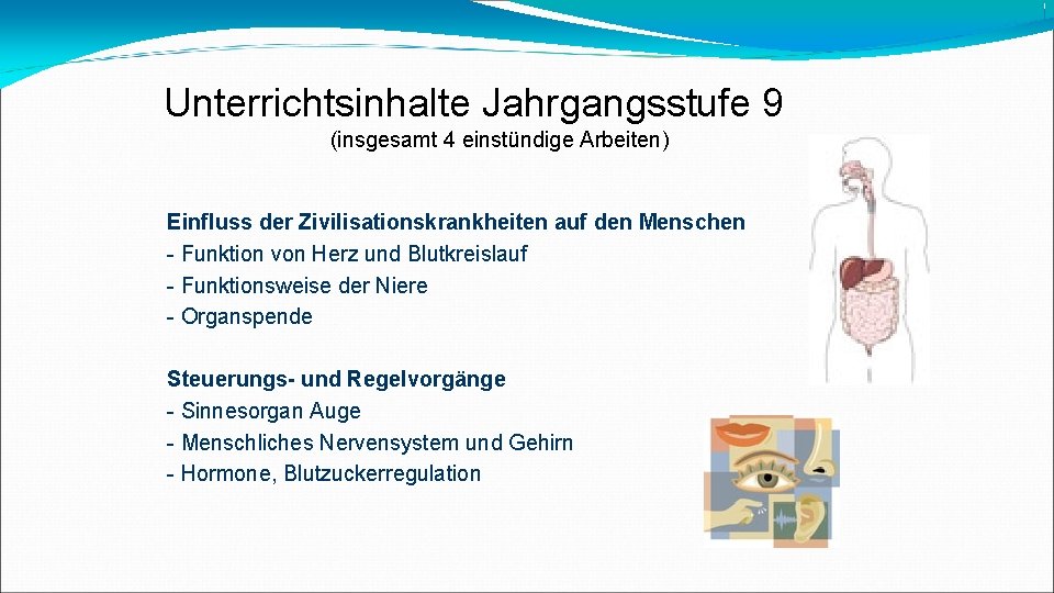 Unterrichtsinhalte Jahrgangsstufe 9 (insgesamt 4 einstündige Arbeiten) Einfluss der Zivilisationskrankheiten auf den Menschen -