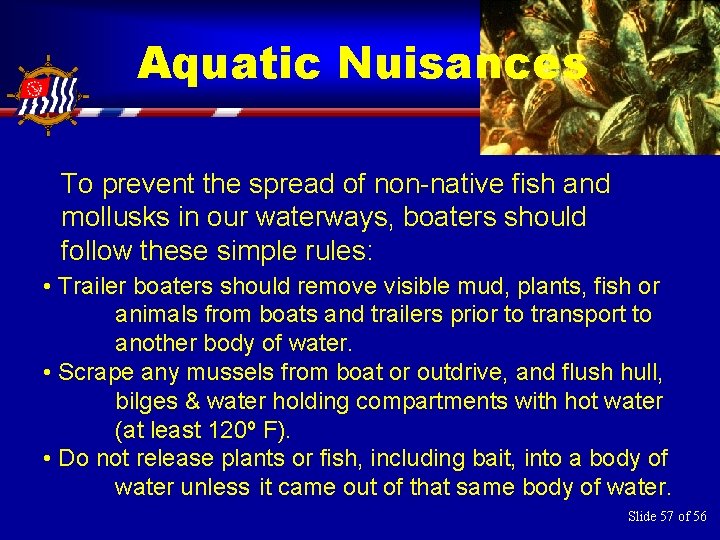 Aquatic Nuisances To prevent the spread of non-native fish and mollusks in our waterways,