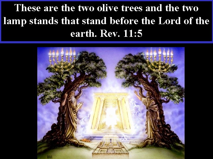 These are the two olive trees and the two lamp stands that stand before