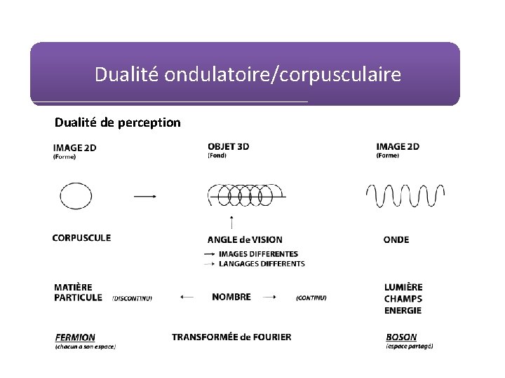 Dualité ondulatoire/corpusculaire Dualité de perception 