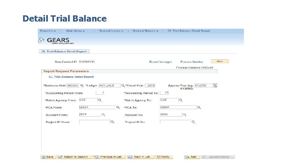 Detail Trial Balance 