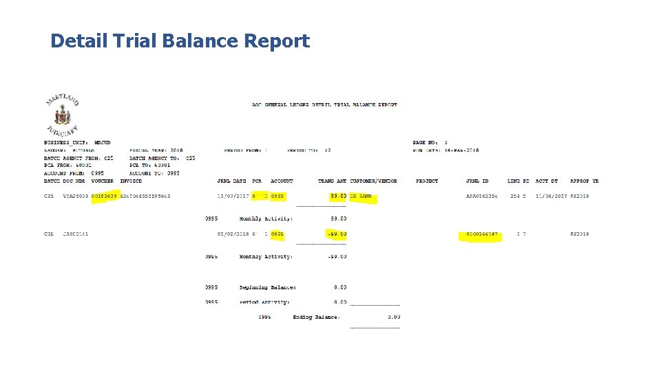 Detail Trial Balance Report 