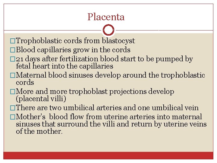 Placenta �Trophoblastic cords from blastocyst �Blood capillaries grow in the cords � 21 days