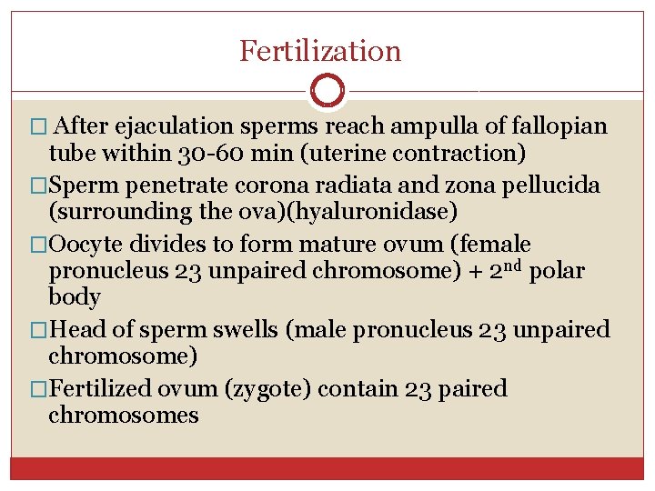 Fertilization � After ejaculation sperms reach ampulla of fallopian tube within 30 -60 min