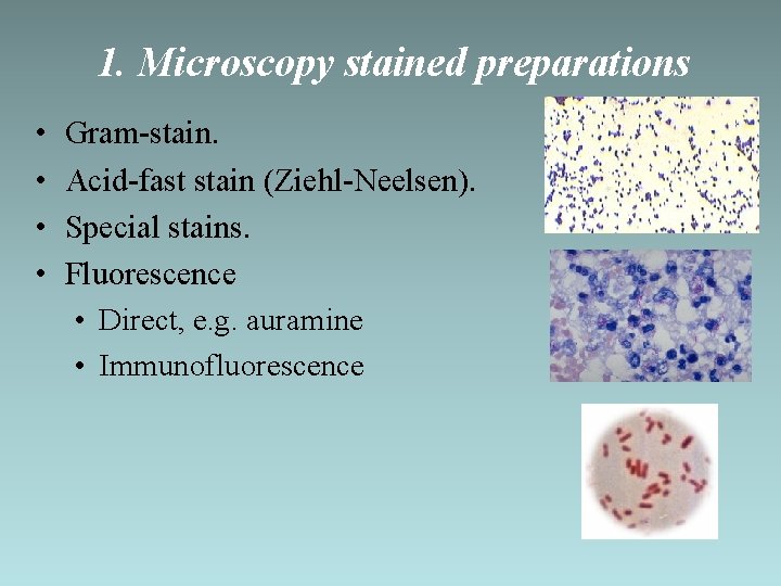 1. Microscopy stained preparations • • Gram-stain. Acid-fast stain (Ziehl-Neelsen). Special stains. Fluorescence •