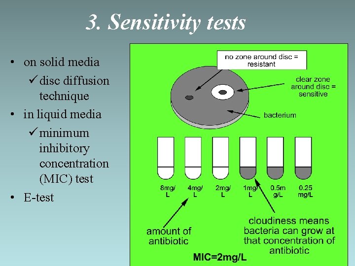 3. Sensitivity tests • on solid media ü disc diffusion technique • in liquid