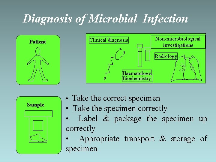 Diagnosis of Microbial Infection Patient Clinical diagnosis Non-microbiological investigations Radiology Haematology Biochemistry Sample •