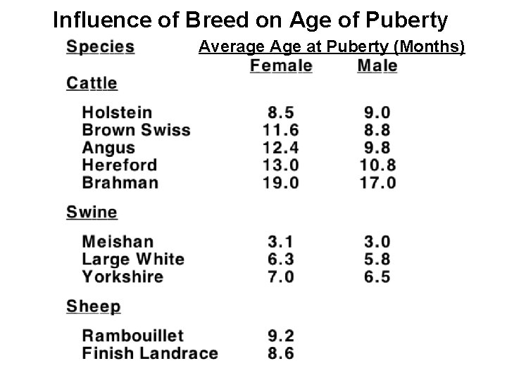 Influence of Breed on Age of Puberty Average Age at Puberty (Months) 