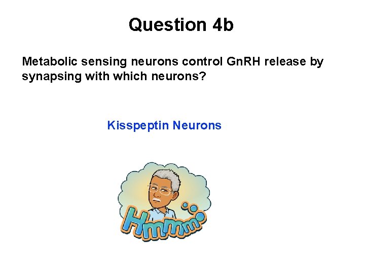 Question 4 b Metabolic sensing neurons control Gn. RH release by synapsing with which