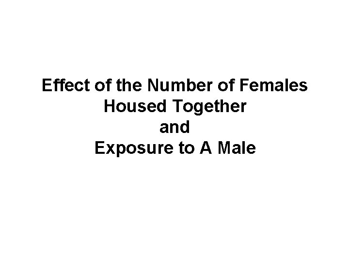 Effect of the Number of Females Housed Together and Exposure to A Male 