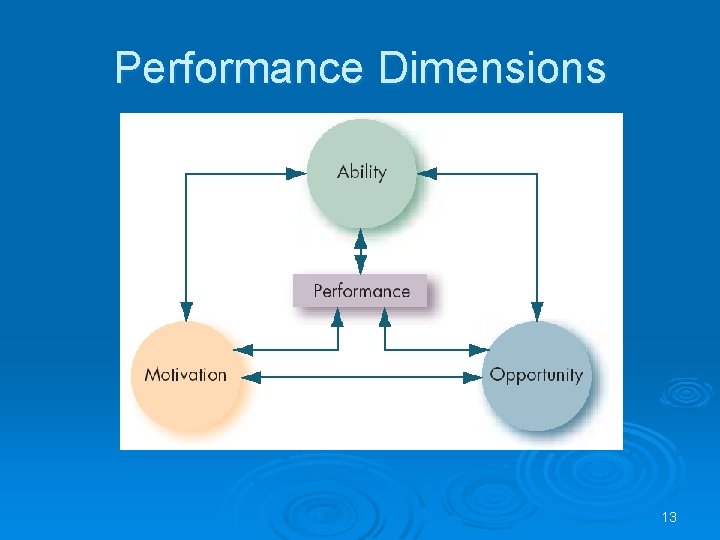 Performance Dimensions 13 