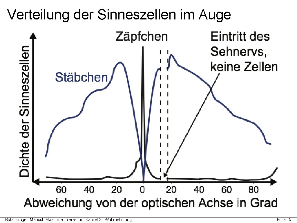 Verteilung der Sinneszellen im Auge Butz, Krüger: Mensch-Maschine-Interaktion, Kapitel 2 - Wahrnehmung Folie 5 Verteilung der Sinneszellen im Auge Butz, Krüger: Mensch-Maschine-Interaktion, Kapitel 2 - Wahrnehmung Folie 5