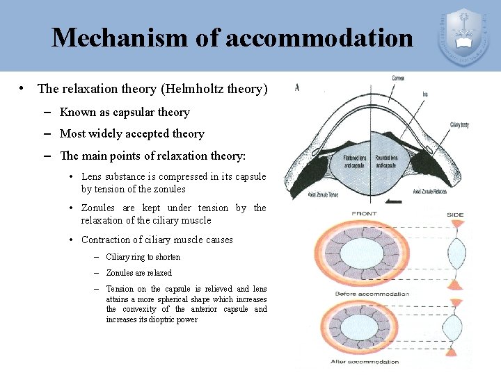 Mechanism of accommodation • The relaxation theory (Helmholtz theory) – Known as capsular theory