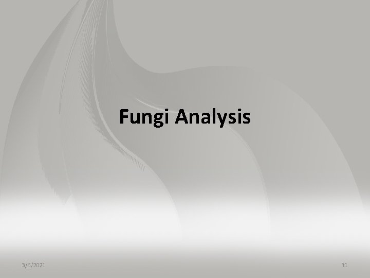 Fungi Analysis 3/6/2021 31 