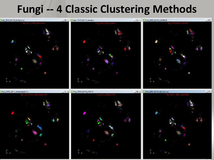 Fungi -- 4 Classic Clustering Methods 3/6/2021 33 