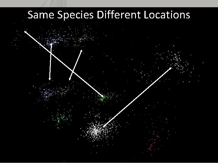 Same Species Different Locations 3/6/2021 37 