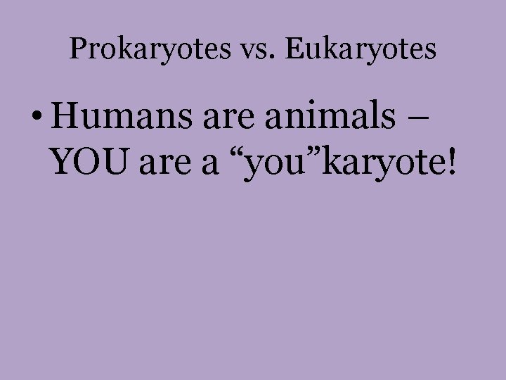 Prokaryotes vs. Eukaryotes • Humans are animals – YOU are a “you”karyote! 