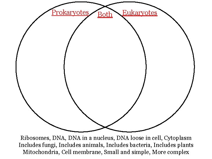 Prokaryotes Both Eukaryotes Ribosomes, DNA in a nucleus, DNA loose in cell, Cytoplasm Includes