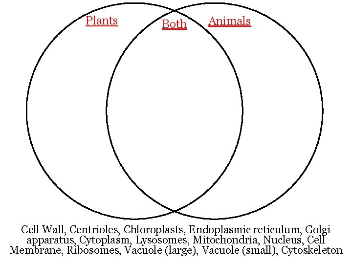 Plants Both Animals Cell Wall, Centrioles, Chloroplasts, Endoplasmic reticulum, Golgi apparatus, Cytoplasm, Lysosomes, Mitochondria,