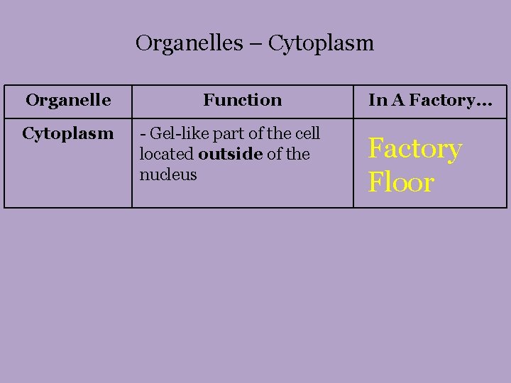 Organelles – Cytoplasm Organelle Cytoplasm Function - Gel-like part of the cell located outside