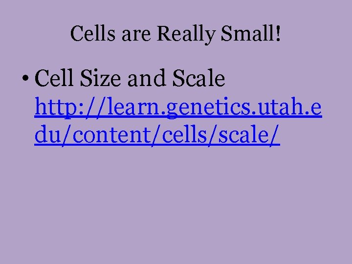 Cells are Really Small! • Cell Size and Scale http: //learn. genetics. utah. e